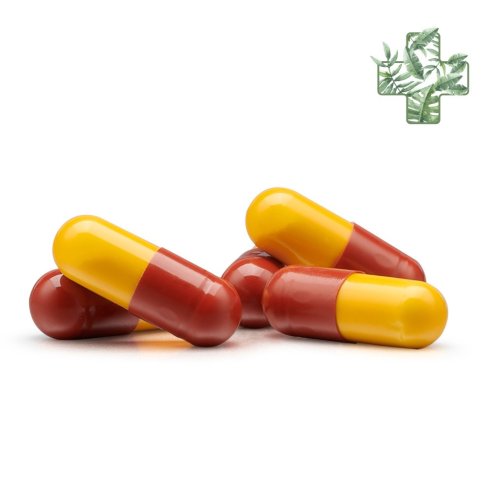 INMUNOFERON 60 CAPSULAS